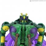 Kingdom Waspinator