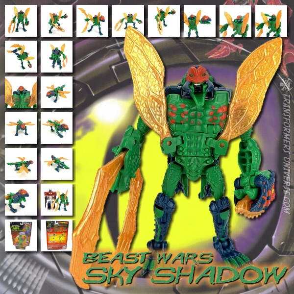Transformers Beast Wars Sky Shadow輸入版 4929.jpg